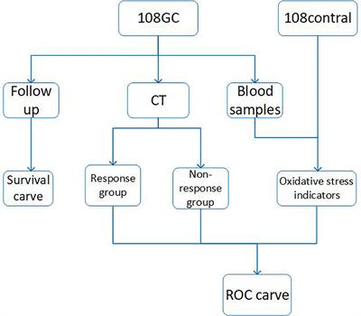 Levels of oxidative stress in patients with neoadjuvant chemotherapy for gastric cancer: correlation with treatment response